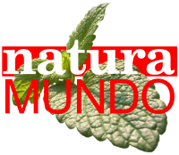 naturaMUNDO-Logo